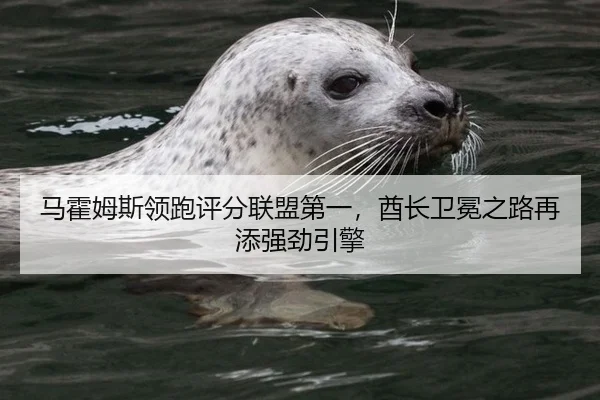 马霍姆斯领跑评分联盟第一，酋长卫冕之路再添强劲引擎